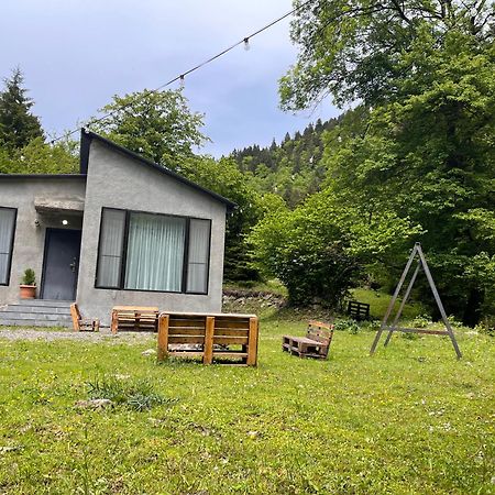 Cozy House In The Forest Borjomi Bagian luar foto