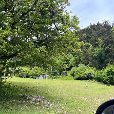 Cozy House In The Forest Borjomi Bagian luar foto