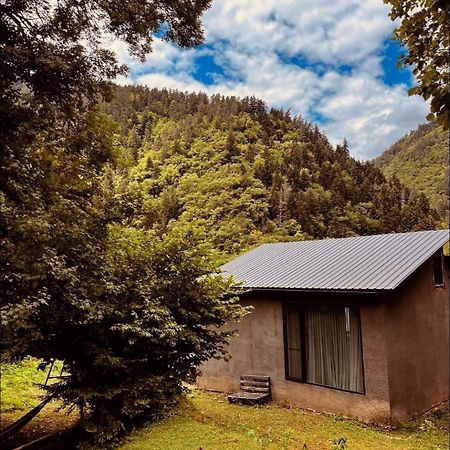 Cozy House In The Forest Borjomi Bagian luar foto