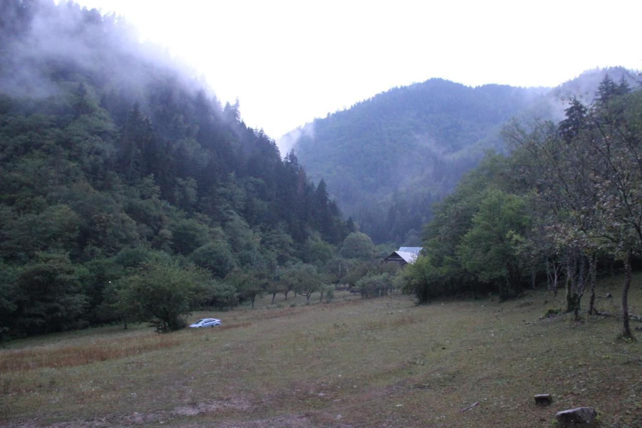 Cozy House In The Forest Borjomi Bagian luar foto