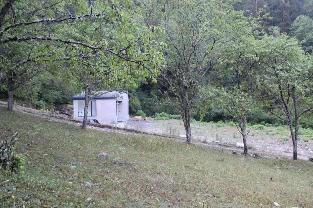 Cozy House In The Forest Borjomi Bagian luar foto
