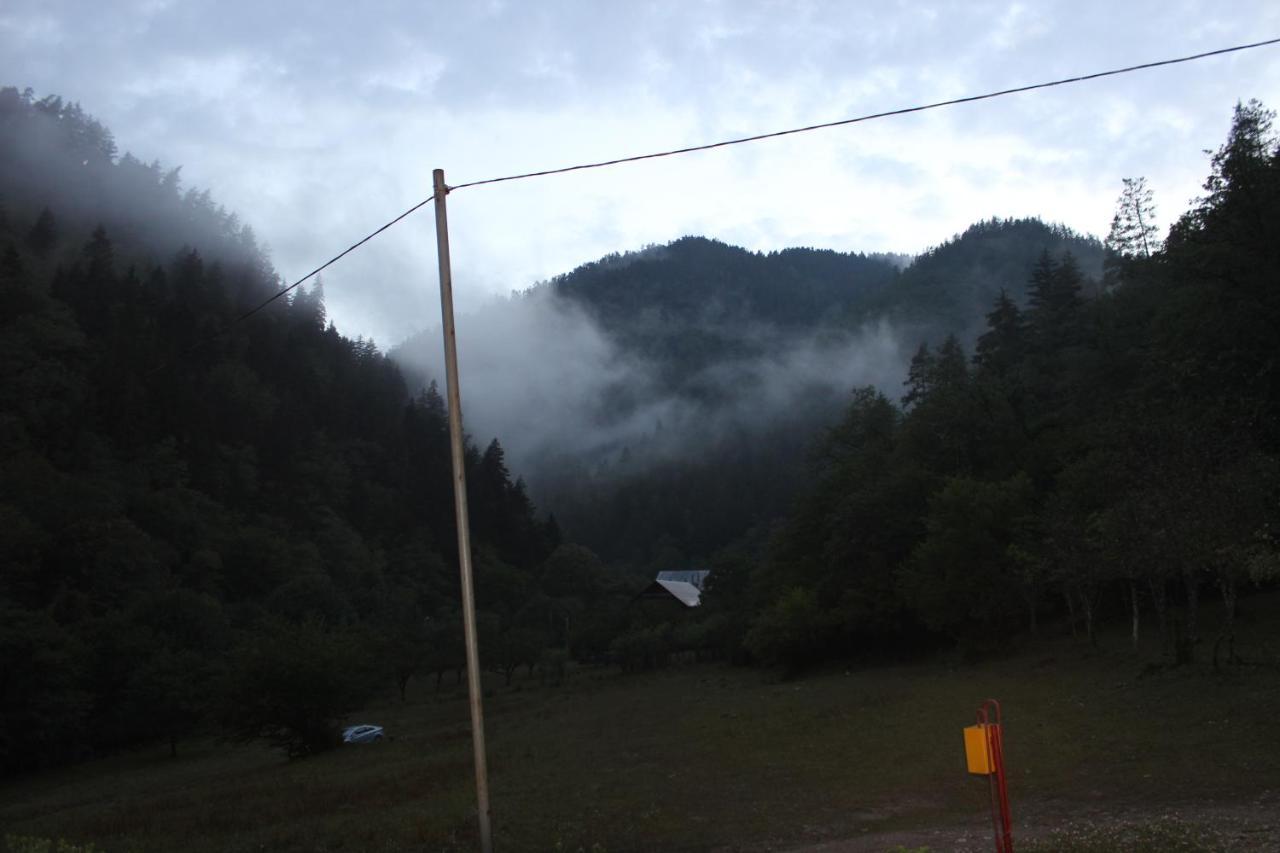 Cozy House In The Forest Borjomi Bagian luar foto