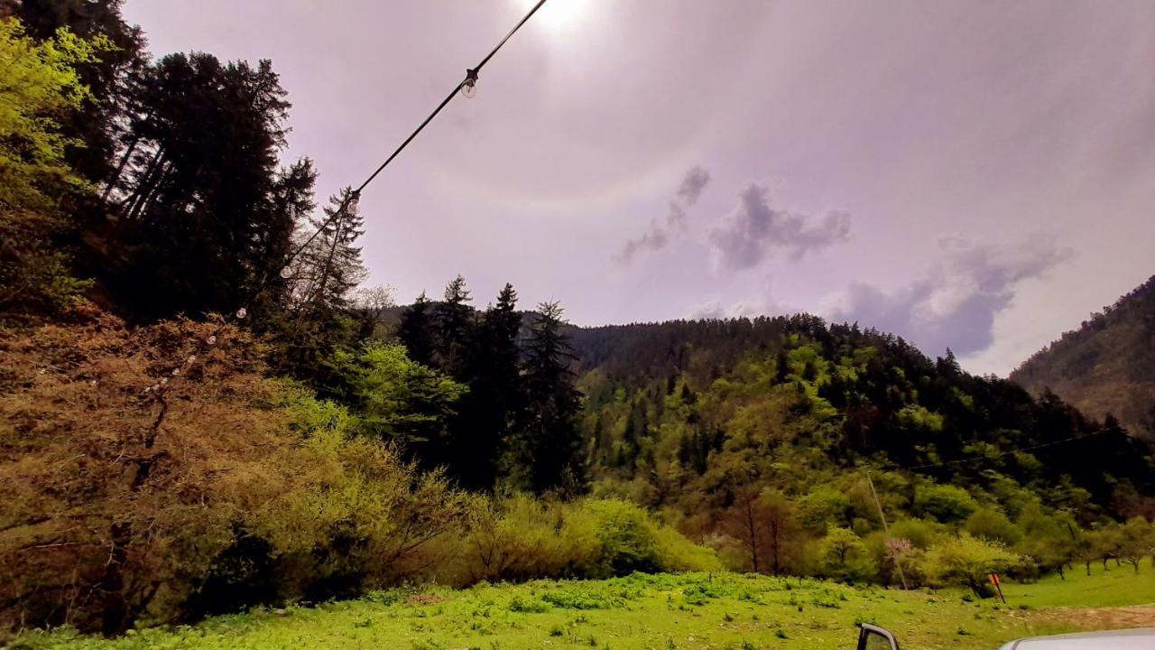 Cozy House In The Forest Borjomi Bagian luar foto