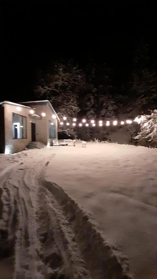 Cozy House In The Forest Borjomi Bagian luar foto
