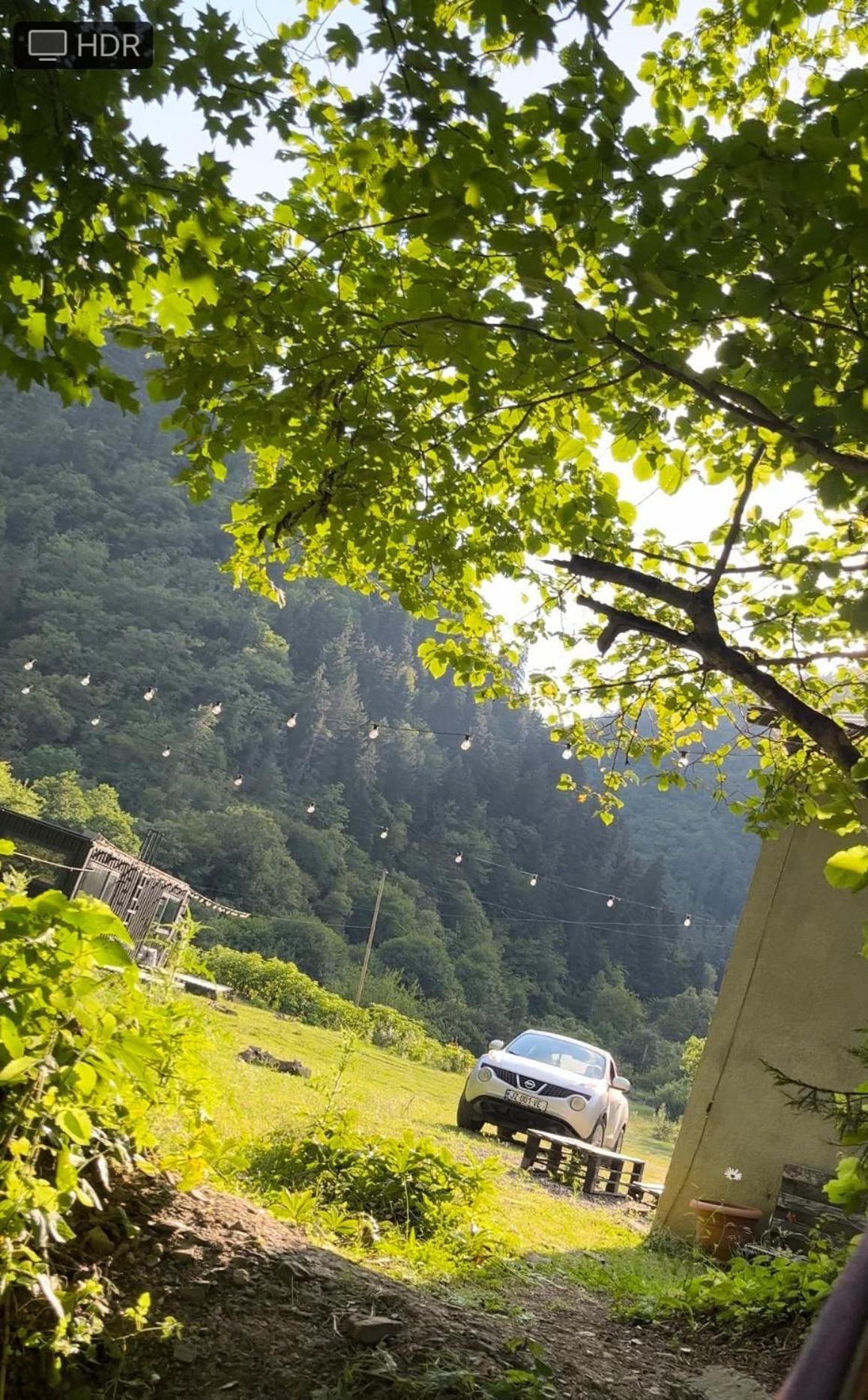 Cozy House In The Forest Borjomi Bagian luar foto