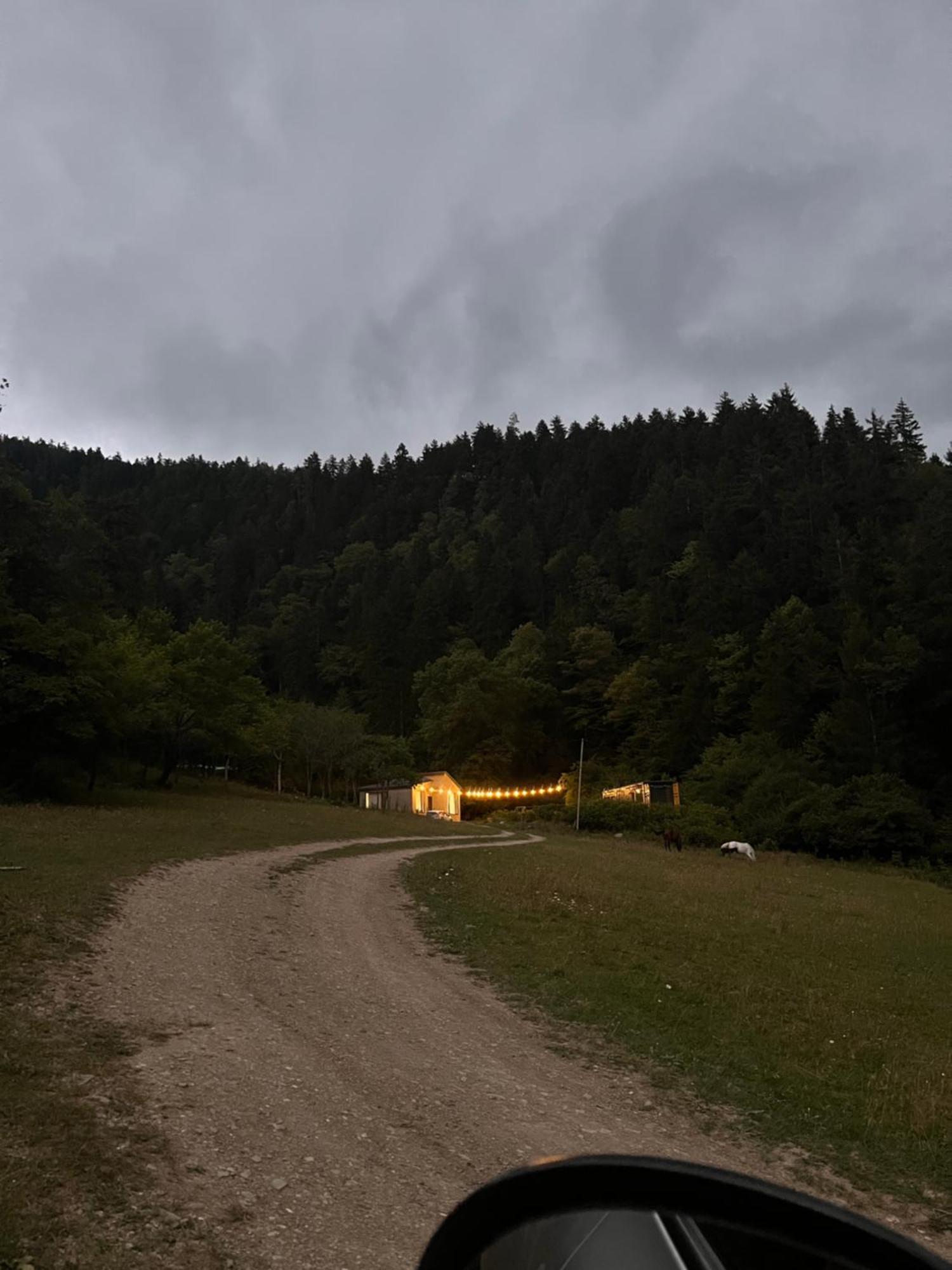 Cozy House In The Forest Borjomi Bagian luar foto