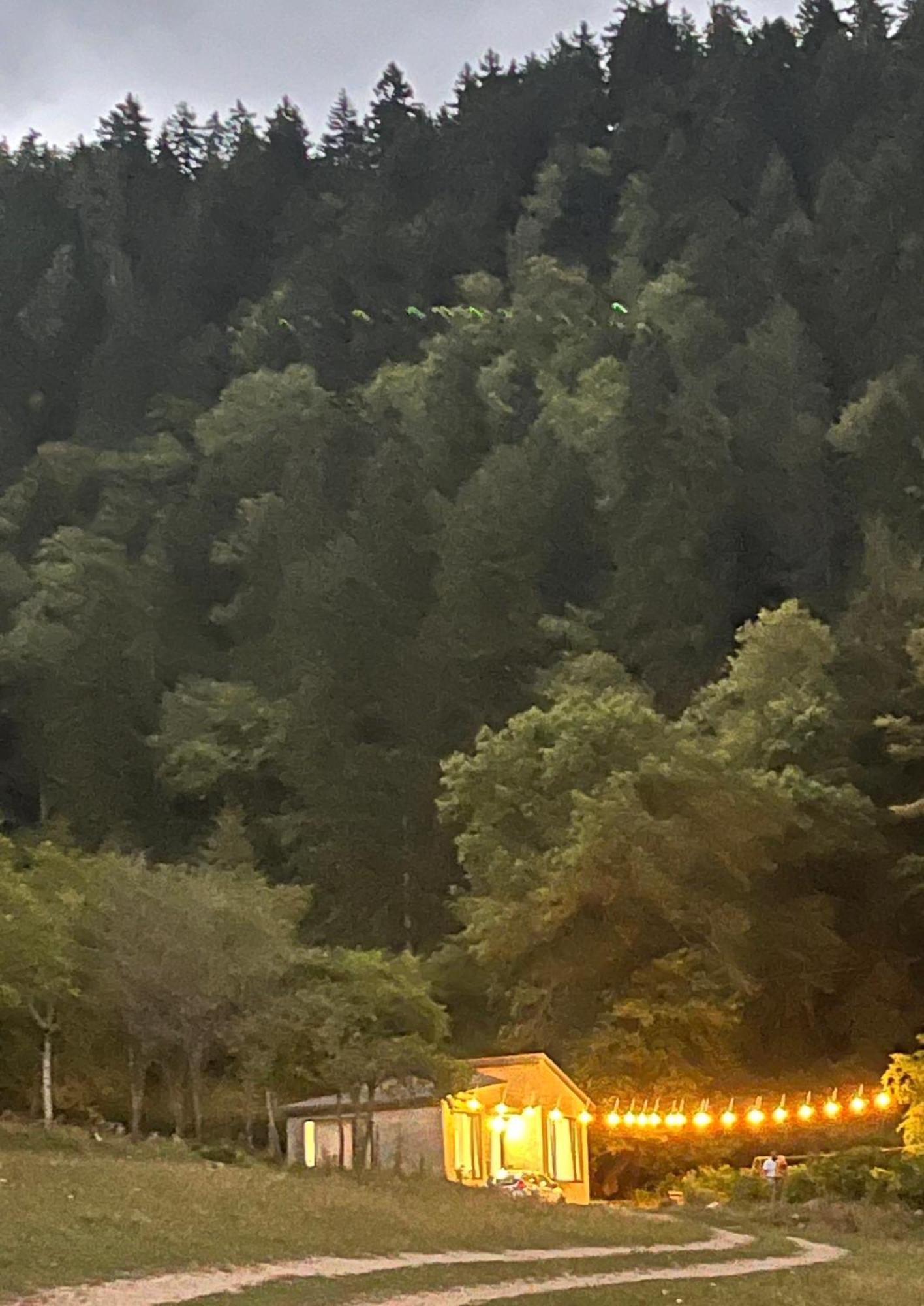 Cozy House In The Forest Borjomi Bagian luar foto