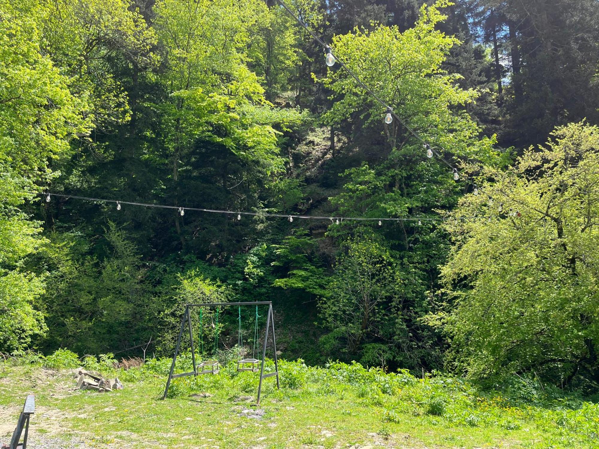 Cozy House In The Forest Borjomi Bagian luar foto