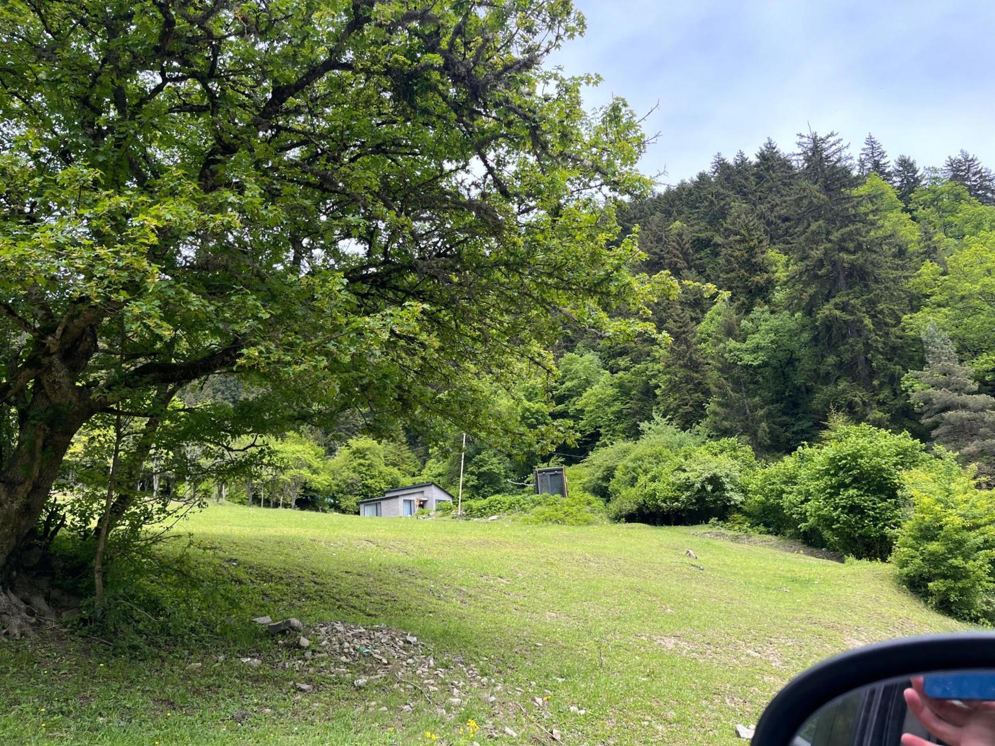 Cozy House In The Forest Borjomi Bagian luar foto