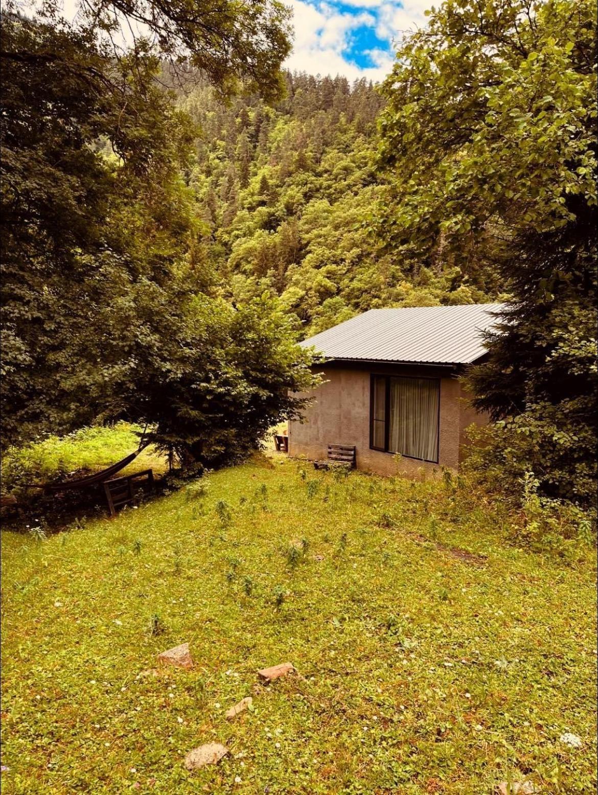 Cozy House In The Forest Borjomi Bagian luar foto
