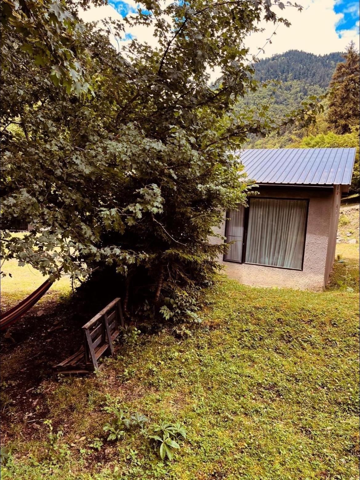 Cozy House In The Forest Borjomi Bagian luar foto